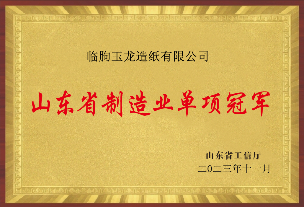 山東省制造業(yè)單項(xiàng)冠軍（臨朐玉龍?jiān)旒堄邢薰荆?></div><div   id=